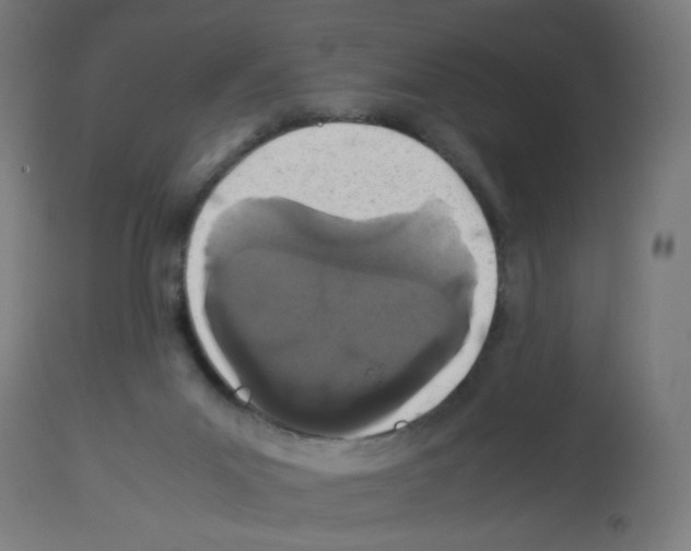 X0000113010023200910081233