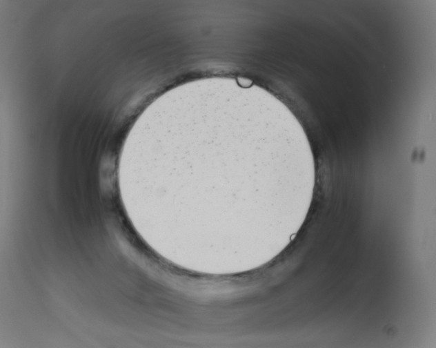 X0000113010024200910081233