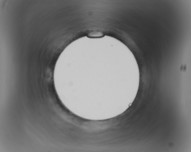 X0000113010025200910081233