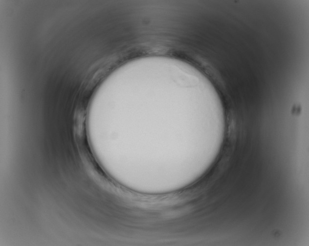 X0000113010026200910081233