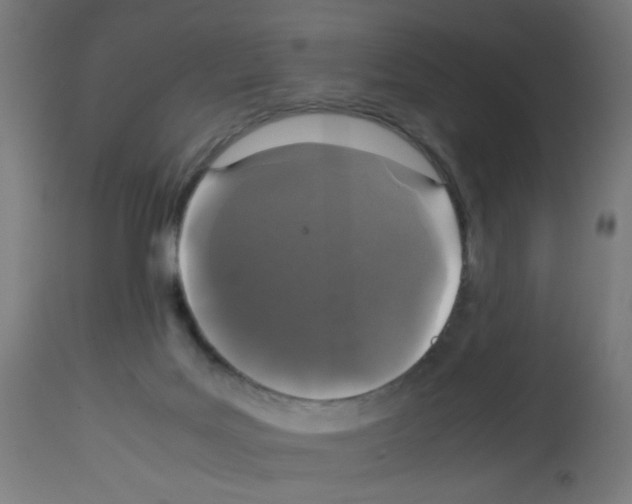 X0000113010027200910081233