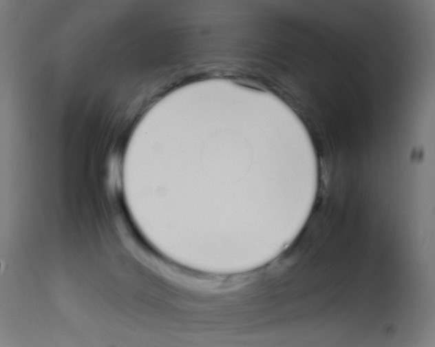 X0000113010028200910081233