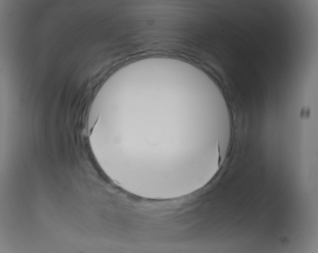 X0000113010029200910081233