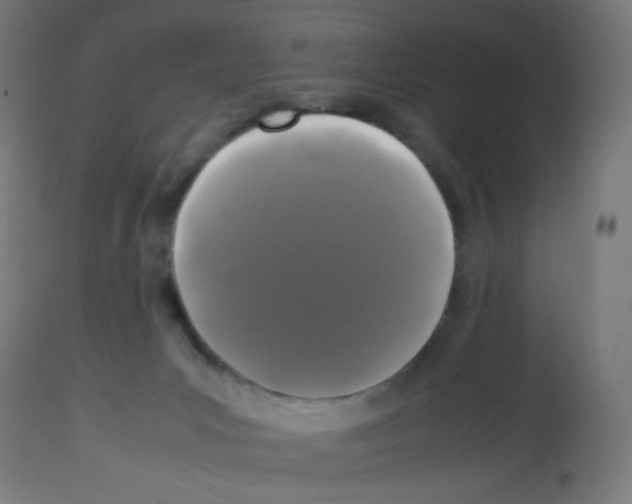 X0000113010031200910081233
