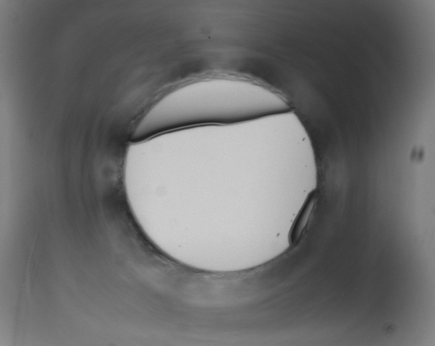 X0000113010033200910081233