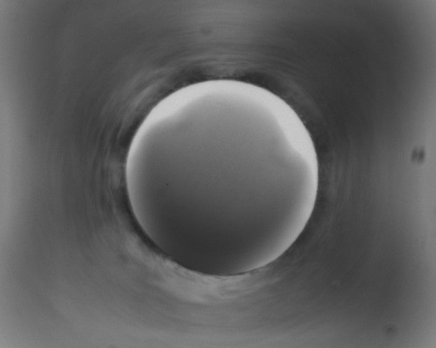 X0000113010035200910081233