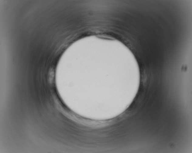 X0000113010036200910081233