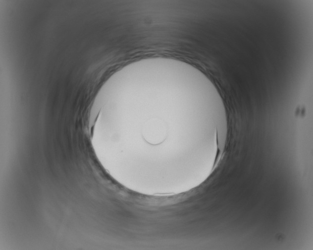 X0000113010037200910081233