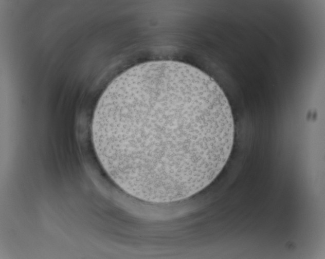 X0000113010038200910081233
