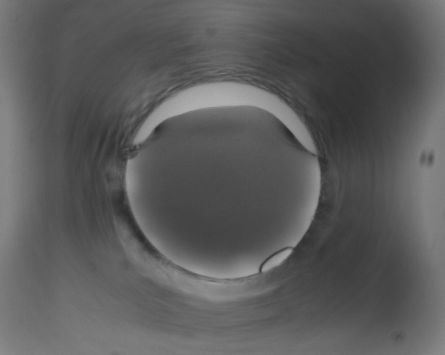 X0000113010039200910081233