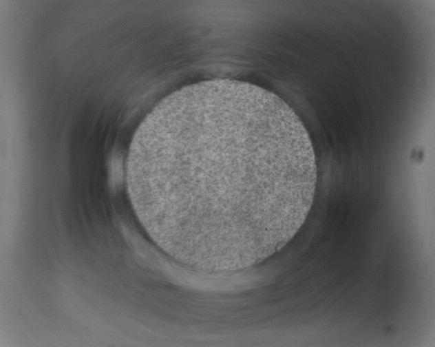 X0000113010042200910081233