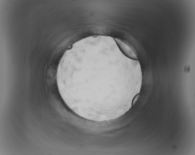 X0000113010043200910081233