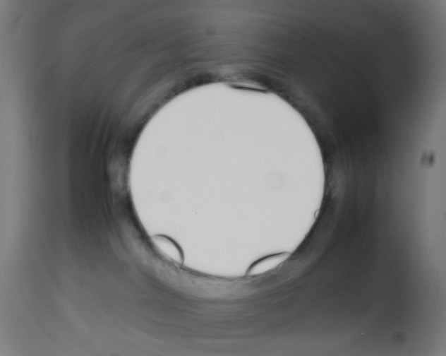 X0000113010044200910081233