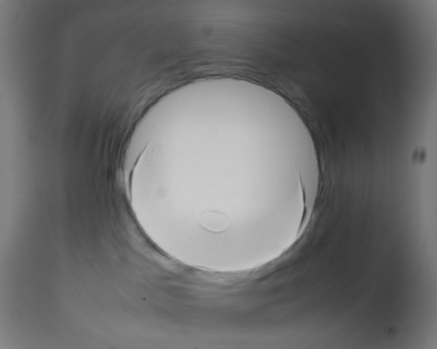 X0000113010045200910081233