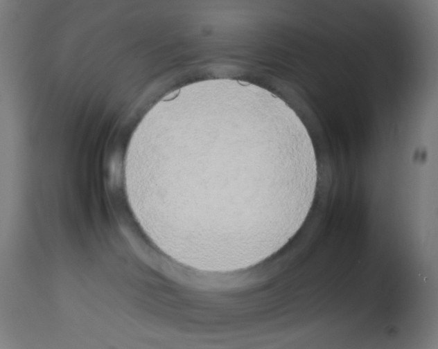 X0000113010046200910081233