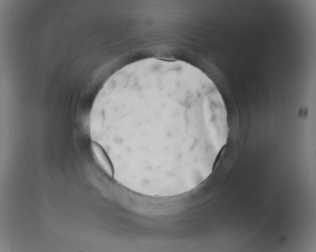 X0000113010047200910081233