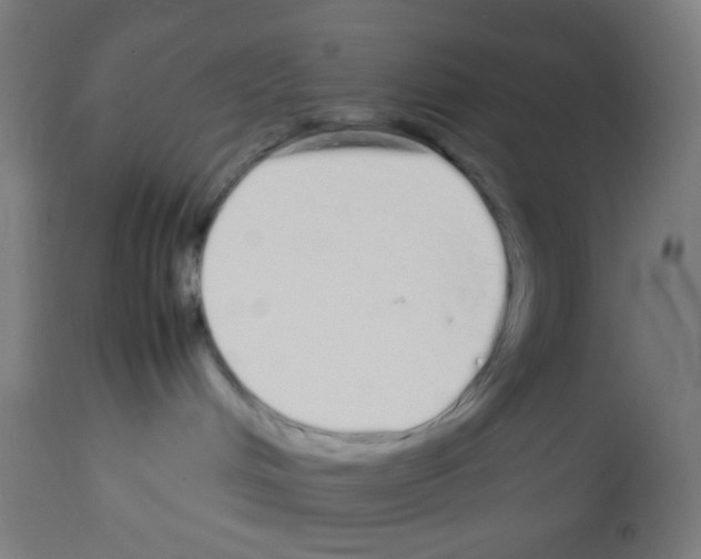 X0000113010048200910081232