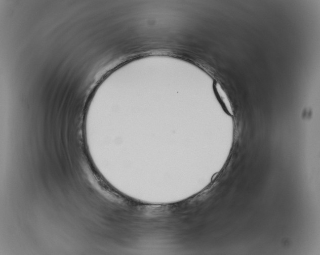 X0000113010050200910081232
