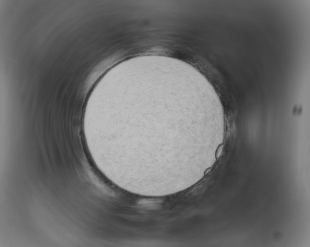 X0000113010051200910081232