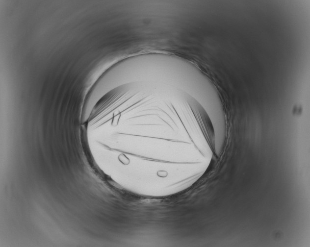 X0000113010052200910081232