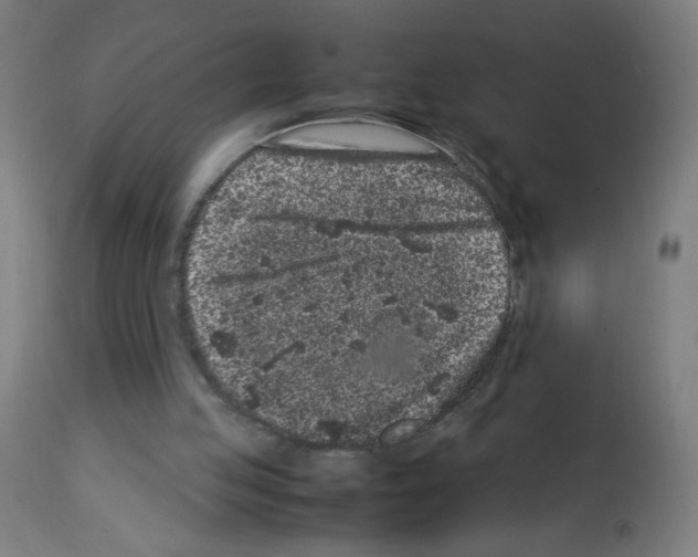X0000113010053200910081232