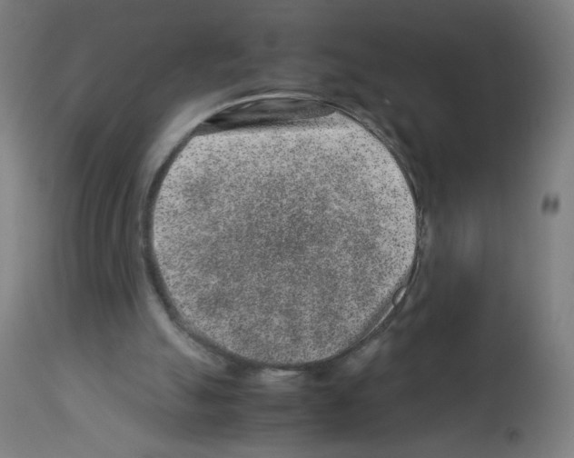 X0000113010055200910081232