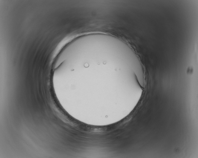 X0000113010056200910081232