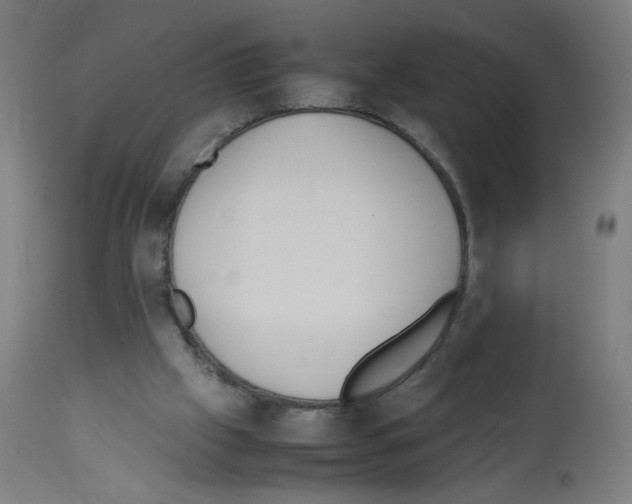 X0000113010057200910081232