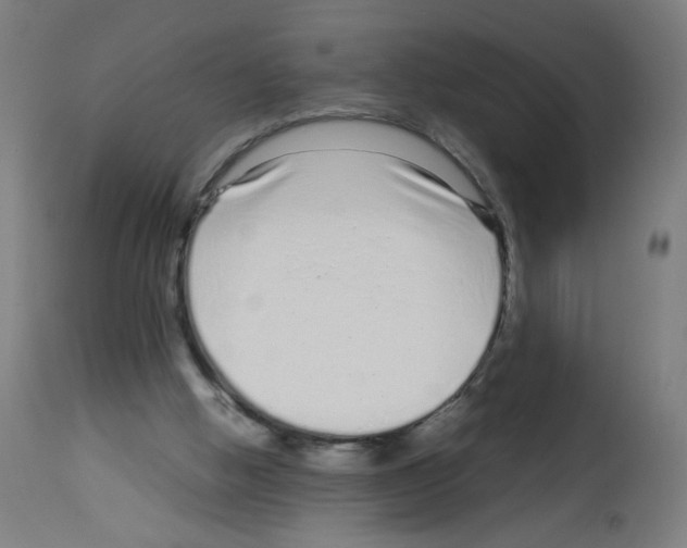 X0000113010058200910081232