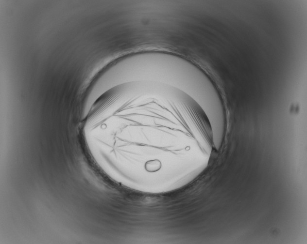 X0000113010060200910081232