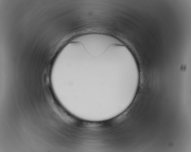 X0000113010062200910081232