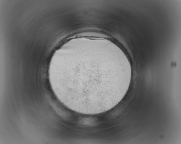 X0000113010063200910081232