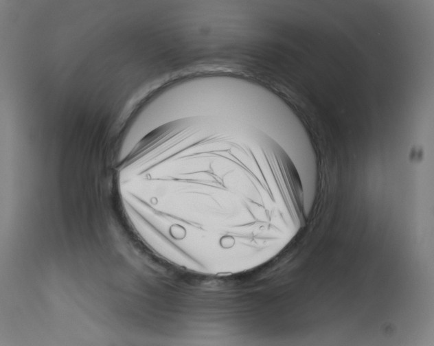 X0000113010064200910081232