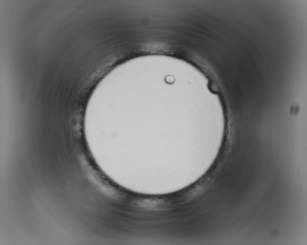 X0000113010065200910081232