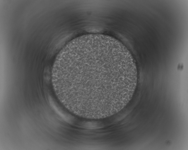 X0000113010069200910081232