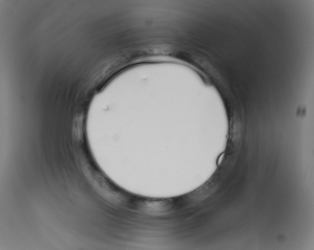 X0000113010070200910081232