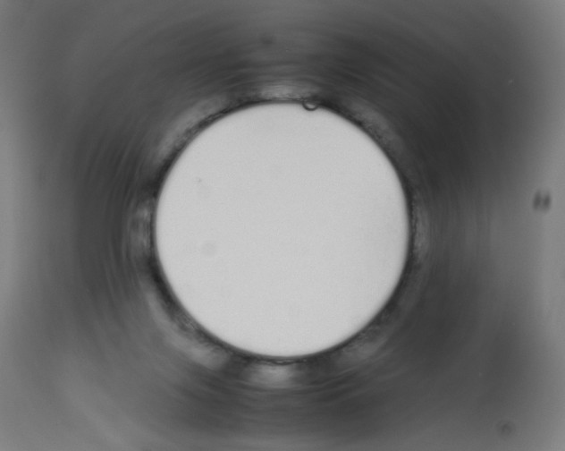 X0000113010071200910081232