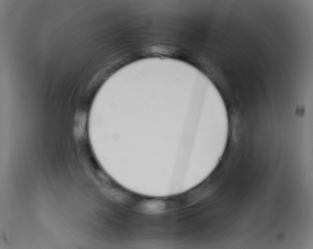 X0000113010075200910081232