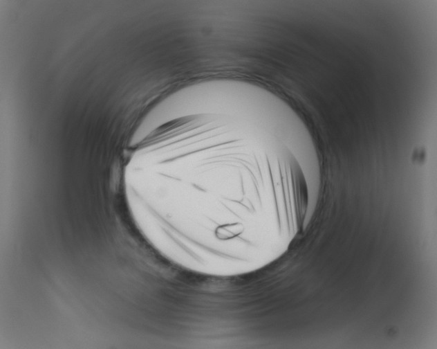 X0000113010076200910081232