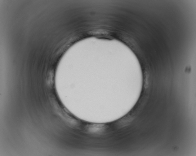 X0000113010077200910081232