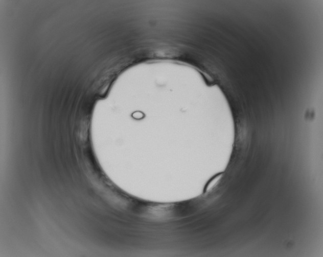 X0000113010078200910081232