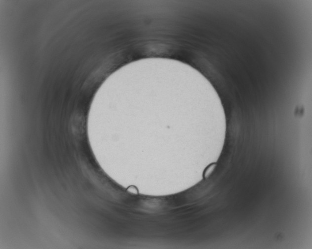 X0000113010079200910081232