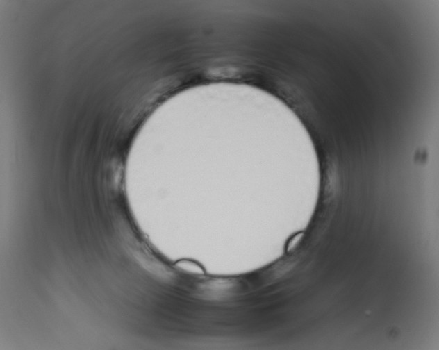 X0000113010081200910081232
