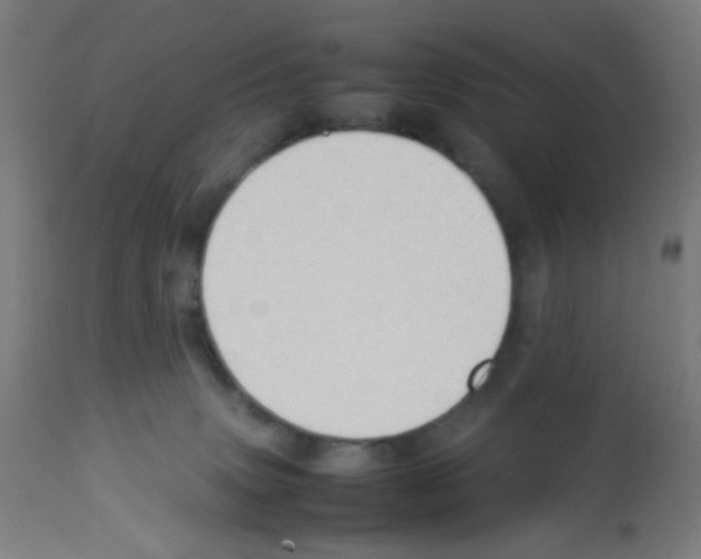 X0000113010083200910081232