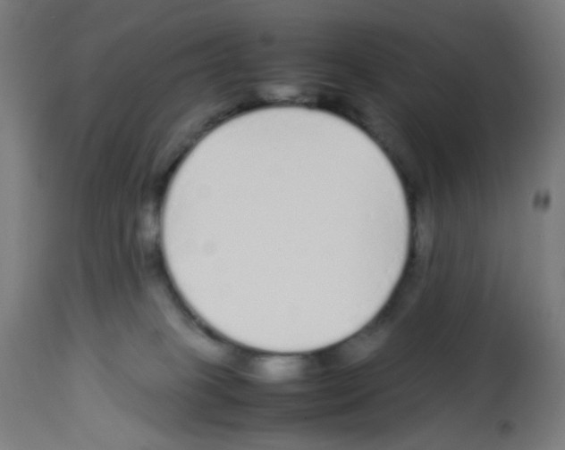 X0000113010085200910081232