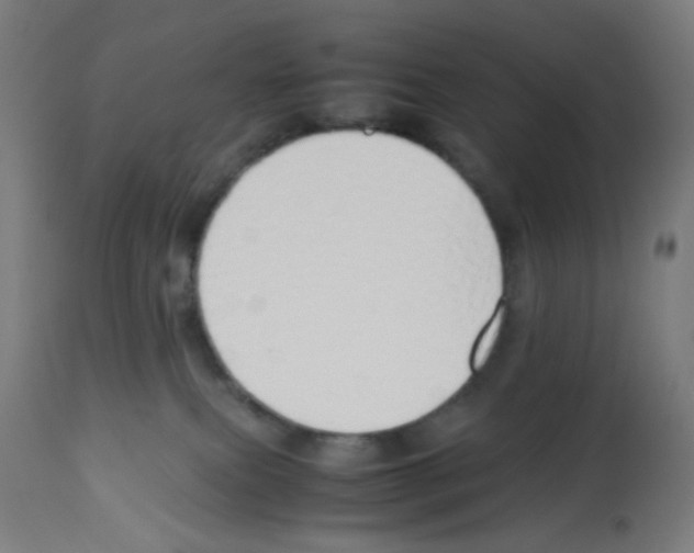 X0000113010087200910081232