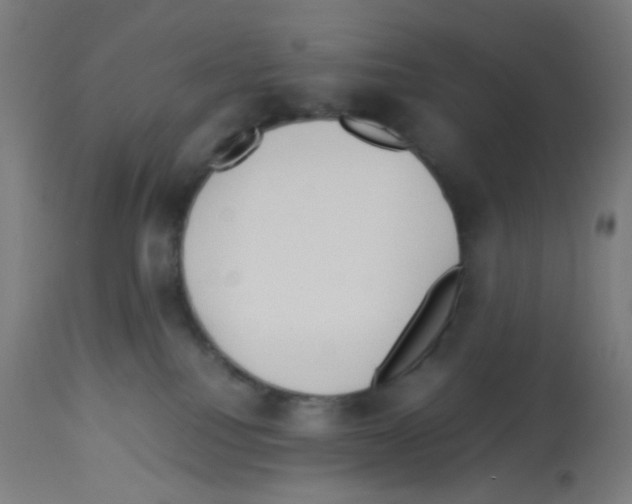 X0000113010088200910081232