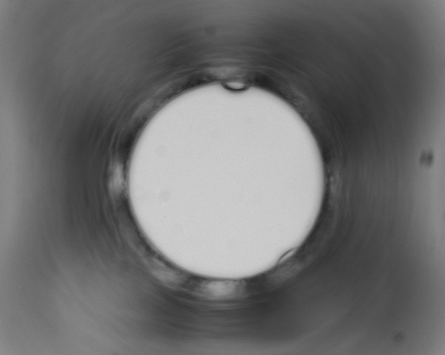 X0000113010089200910081232