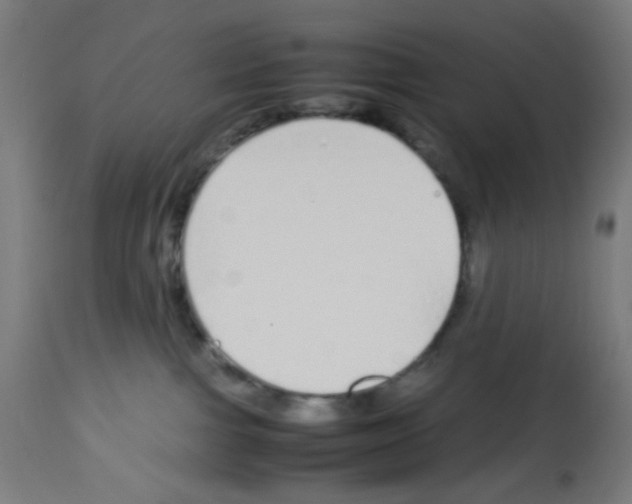 X0000113010091200910081232