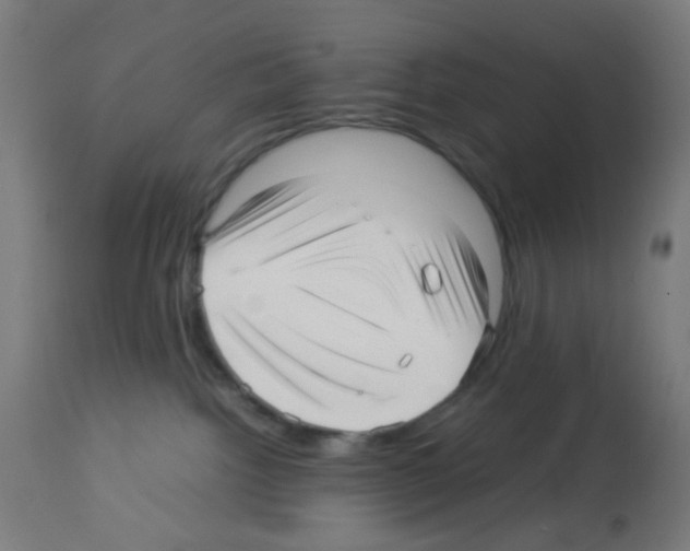 X0000113010092200910081232